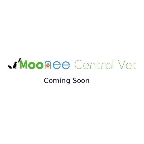coming soon placeholder